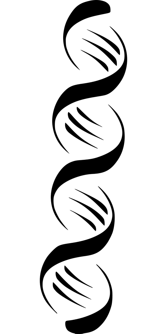 black white, dna, strand-2027884.jpg